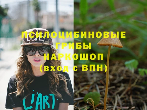 гидра Беломорск