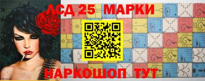 ешки Кингисепп