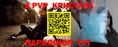 ешки Кингисепп