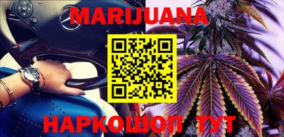 ешки Кингисепп