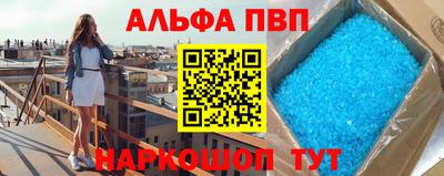 ешки Кингисепп
