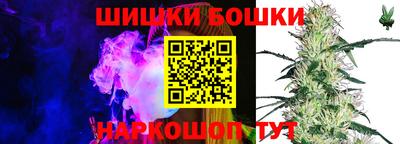 ешки Кингисепп