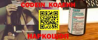 ешки Кингисепп