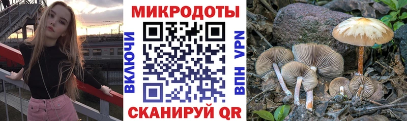 Галлюциногенные грибы GOLDEN TEACHER  цены   Родники 