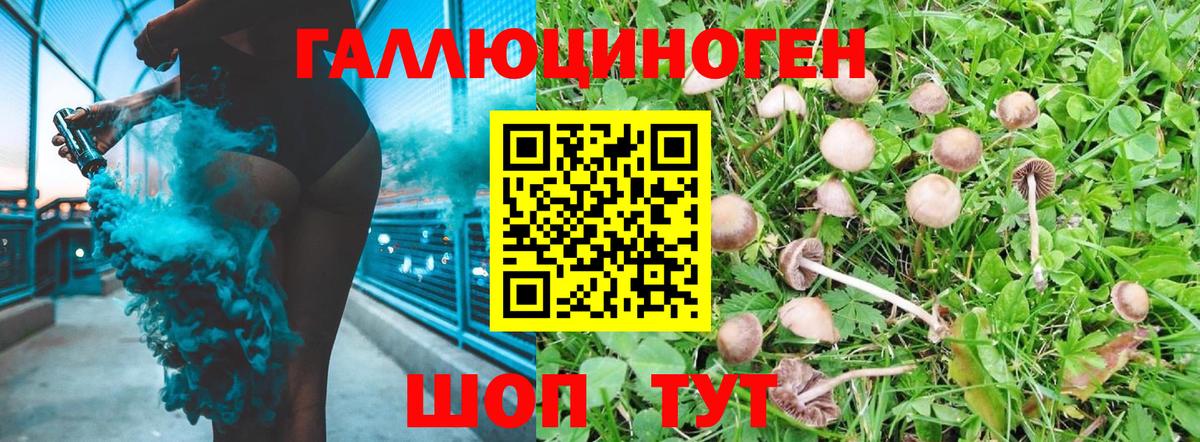 Галлюциногенные грибы GOLDEN TEACHER Родники